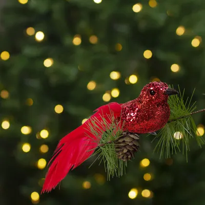 Productafbeelding van Kerstornament - Vogel met glitterdetails - Rood - 2 stuks per verpakking