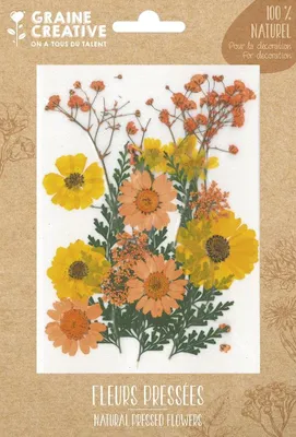 Produktbild von Graine Creative Blumen Set - natürliche getrocknete Blumen Yellow Meadow 18 Stück