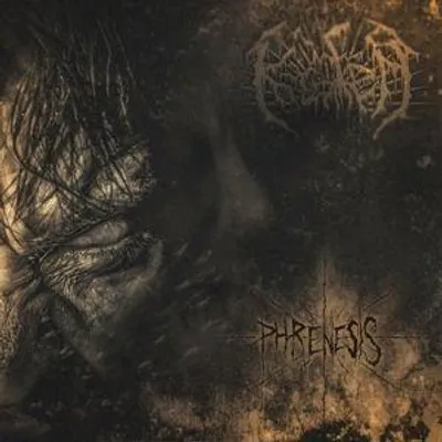 Produktbild von Phrenesis (Digipak-CD)