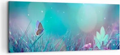 Produktbild von Bild auf Leinwand - Leinwandbild - Schmetterling Wiese Blume - 120x50cm - Wand Bild - Wanddeko - Leinwanddruck - Bilder - Kunstdruck - Wanddekoration - Leinwand bilder - Wandkunst - AB120x50-4077