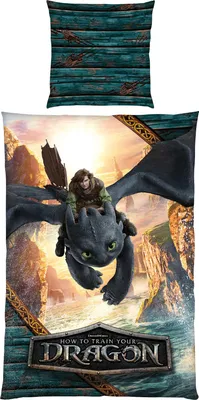 Produktbild von HERDING Dragons Bettwäsche-Set ‘Drachenreiter’ – 135×200 cm, Renforcé, Deckenbezug im Lieferumfang enthalten, Kissenbezug enthalten