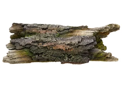Produktbild von Aqua Ornaments "HOLZ" 23,5 x 9 x 8 cm