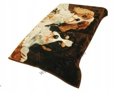 Produktbild von Elway Decke Bernardyny 160x210cm Kuschelig Warm