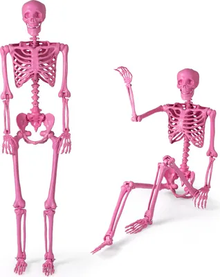 Zdjęcie produktu dla Ruchoma różowa dekoracja na Halloween w kształcie szkieletu, 160 cm