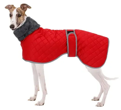 Immagine prodotto di Giacca in pile antivento per cani, giacca invernale per cani, giacca antivento e impermeabile per Whippet, Lurcher, Saluki - Rossa - Taglia 3XL
