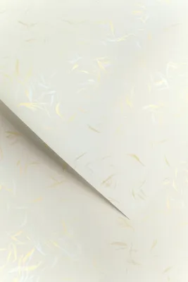 Image de Galeria Papieru papier décoratif Wind white 230g, 20pcs