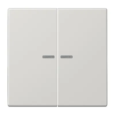 Produktbild von Jung LS995KO5LG Wippe für Serienschalter KO