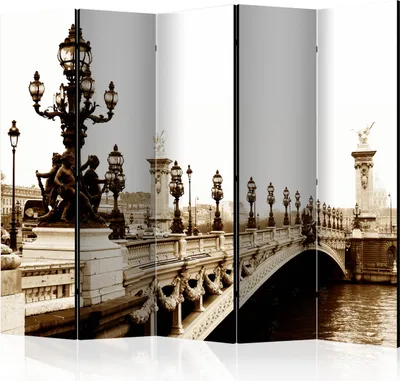 Immagine prodotto di Schermo decorativo Divisorio per ambienti Parete divisoria Parete spagnola Schermo per la privacy d-C-0138-z-c