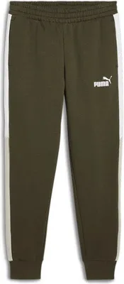 Produktbild von PUMA Power Colorblock Hose Herren grün S