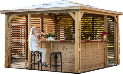 Image de Pool House Blueterm - Bois Thermochauffé - Toit en Panneaux ACP - 2 Parois Ventelles + 2 Comptoirs