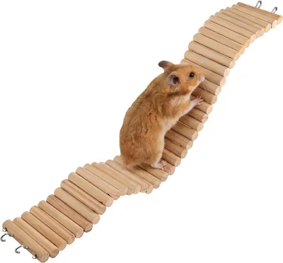 Produktbild von Hamsterleiter 60 x 8 cm, Naturholz, für Nagetiere