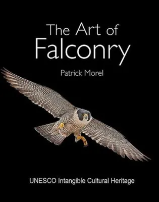Image de The Art of Falconry