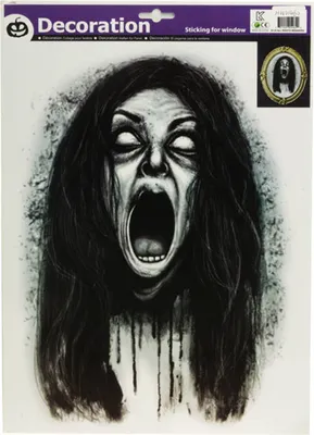 Produktbild von Halloween Fensterbild "Schreiende Geisterfrau" - 29 x 40 cm | Schwarz Weiß - Fensterdekoration