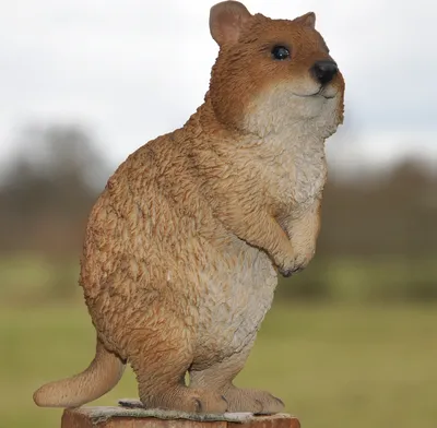 Produktbild von Dekofigur Gartenfigur Erdmännchen