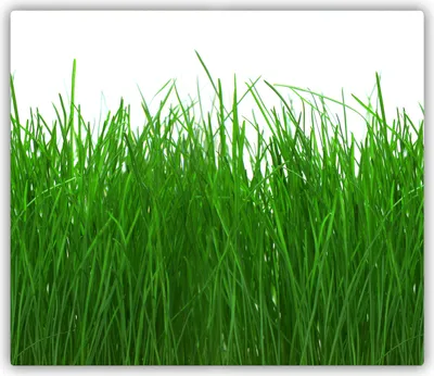 Produktbild von Tulup Glas Herdabdeckplatte Glaskeramikkochfeld-Abdeckung Spritzschutz Glasabdeckplatte Kochplattenabdeckung und Schneidebrett - Einteilig - 60x52 cm Gras