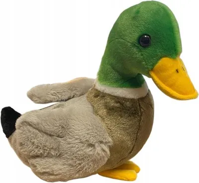 Zdjęcie produktu dla DUBI PLUSZ Kaczka  30931