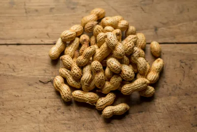 Produktbild von Futterbauer 10 kg  Erdnusskerne !!IN DER SCHALE!!  Vogelfutter