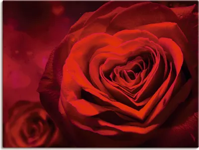 Produktbild von ARTland Leinwandbild Valentinseinladung mit Herzen und Rosen Größe: 60x45 cm