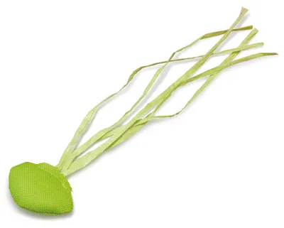Produktbild von Arquivet 8435117897274 Fischdorn, Natur, 1515