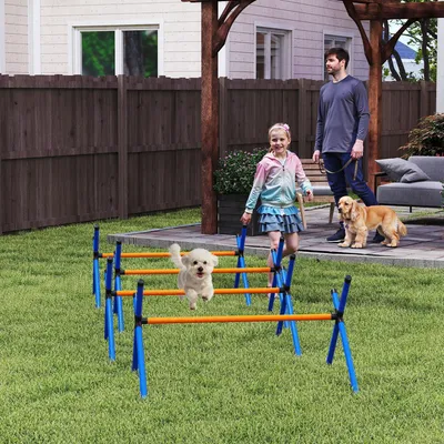 Produktbild von Agility Set Hunde 4-teilig, Hürden höhenverstellbar 13-28 cm, Trainingsset mit Tragetasche, Orange | für kleine Hunde & Welpen | Kunststoff