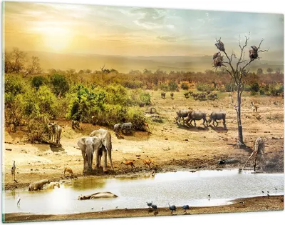 Produktbild von Bilder auf glas - Safari Tiere - 120x80cm - Glasbilder - Wandbilder - Kunstdruck - zum Aufhängen bereit - Wanddekoration aus Glas - Glas Bilder - Wandbild auf Glas - Einteilig - GAA120x80-3880
