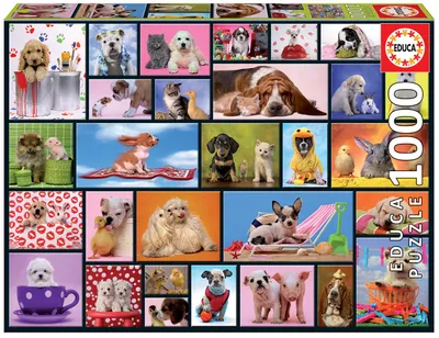 Obrázok produktu pre Educa - Zvieracie priateľstvá 1000 dielikov puzzle