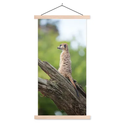Produktbild von MuchoWow® Textilposter Erdmännchen - Ast - Baum 60x120 cm mit holzfarbenen Rahmen - Holz