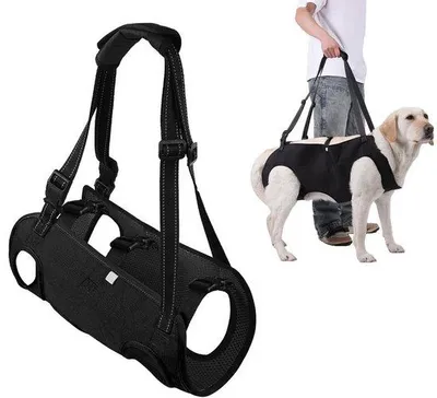 Produktbild von Hunde Tragehilfe M - Verstellbarer Stützgurt mit Polsterung - Hundegeschirr zur Unterstützung beim Gehen und Aufstehen - Für ältere/verletzte Hunde