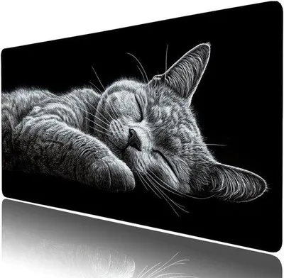 Produktbild von Große XXL Muism für Gaming und Schreibtisch-Zubehör - Anti-Slip Gummibasis, verbesserte Kanten, 500 x 250 x 3 mm