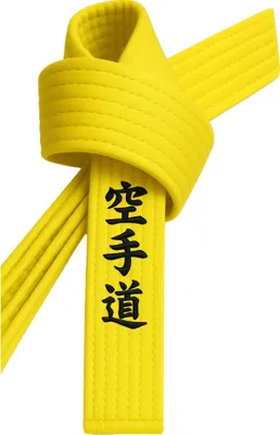 Produktbild von Karategürtel Gelb bestickt - Karate Do Schriftzeichen japanisch - Gelbgurt mit Kanji Bestickung - 260 cm Länge