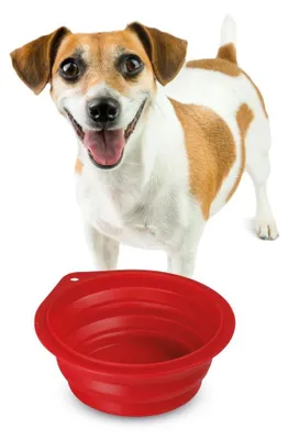 Immagine prodotto di Ciotola da viaggio per animali - 500 ml
