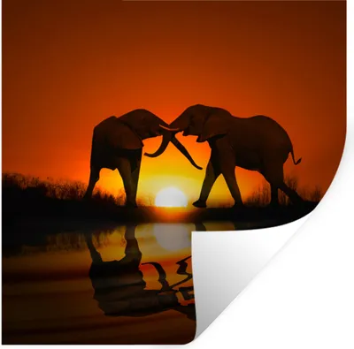 Produktbild von MuchoWow® Wandtattoo Wandsticker Wandaufkleber Elefant - Sonne - Afrika 30x30 cm Selbstklebend und Repositionierbar - Repositionierbar - Wasser abweisend
