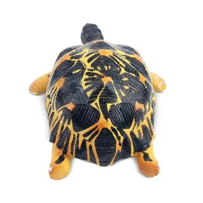 Produktbild von Toymany ML00420 Strahlenschildkröte 6,5 cm Reptilienreich