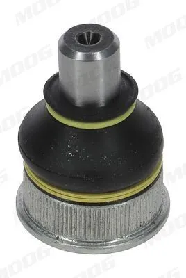 Immagine prodotto di Patella susp PE-BJ-3356
