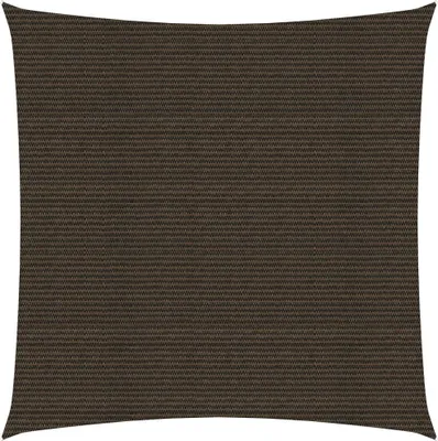 Image de Voile d'ombrage 160 g/m² Marron 3x3 m PEHD