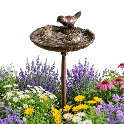 Produktbild von TOPANBIETER 999 Vogeltränke Rund Vogelbad Wasserschale Futterspender Wasserschale