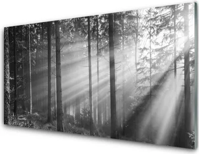 Produktbild von Acrylglasbilder 100x50 Wandbild Druck Wald Natur