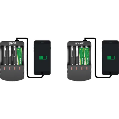 Image de InLine - Batterieladegerät - 12 Watt - 1 A (01287L)
