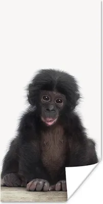 Produktbild von MuchoWow® Poster Kind - Affe - Schimpanse - Babytiere - Jungen - Mädchen 80x160 cm - Kinderzimmer
