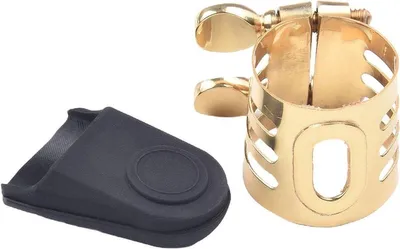 Blasinstrument Zubehör, Hauptbild