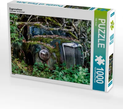 Produktbild von Calvendo Zugewachsen 1000 Teile Puzzle quer 640x480mm, Rosin Dirk; 7384812