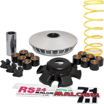 Image de Variateur Malossi MULTIVAR 2000, compatible avec le modèle Access Sport 300 LC