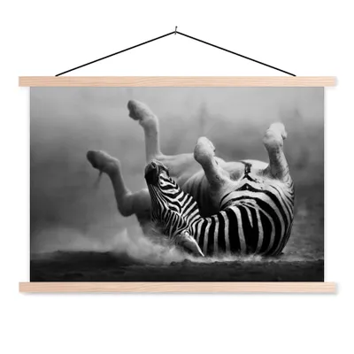 Produktbild von MuchoWow® Textilposter Zebra - Tiere - Schwarz - Weiß 60x40 cm mit holzfarbenen Rahmen - Bilder