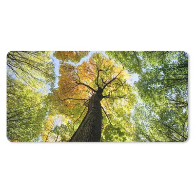 Produktbild von MuchoWow® Schreibtischunterlage Baum - Natur - Wald 80x40 cm - XXL Mauspad - Gaming Mauspad
