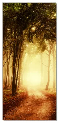 Produktbild von Wallario selbstklebende Türtapete 93 x 205 cm - Sonnenuntergang auf dem Waldweg - Abwischbar, rückstandsfrei zu entfernen