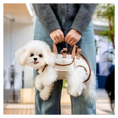 Produktbild von Hundetransportgurt für kleine und mittlere Hunde und Katzen, tragbare Haustiertrage, einstellbar (S-Größe)