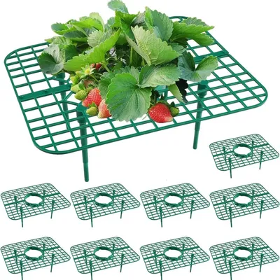 Productafbeelding van Solidchoice - Set van 10 Aardbeienplantsteunen voor Groeibed