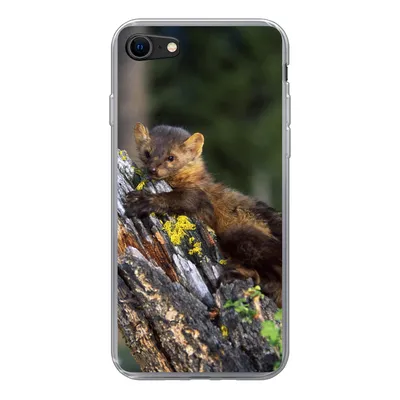 Produktbild von MuchoWow® Handyhülle Schutzhülle Hülle für iPhone SE 2020 Marder - Baum - Wald Silikon Softcase Handy Hülle - Kartenbesitzer