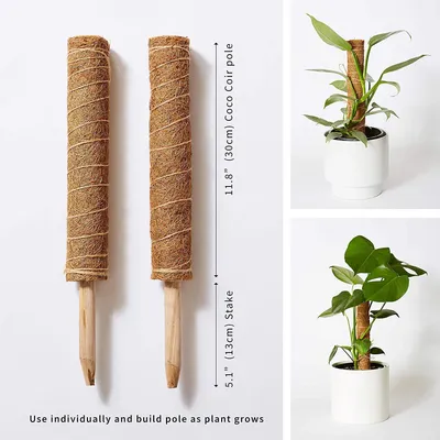 Obrázek produktu pro The Blooming Jungle Moss Pole - 2 tyče z kokosového vlákna s rozsahem 28,7 palce - trénink růstu pokojových rostlin směrem vzhůru - tyče pro podporu rostlin lze použít samostatně nebo společně
