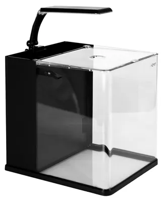 Aquarium 19 Liter, 25x27x27 cm, Glas, mit Filter und LED-Licht